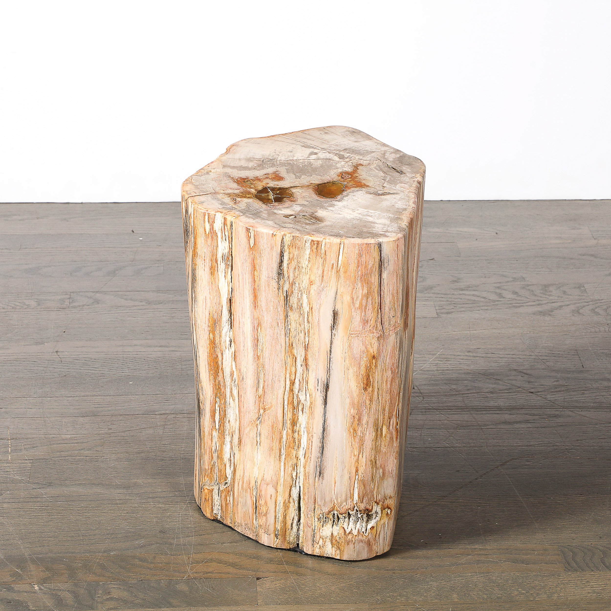 Polished Petrified Wood Side Table/Stool w/ Agate Inclusions & Natural Graining — image 10