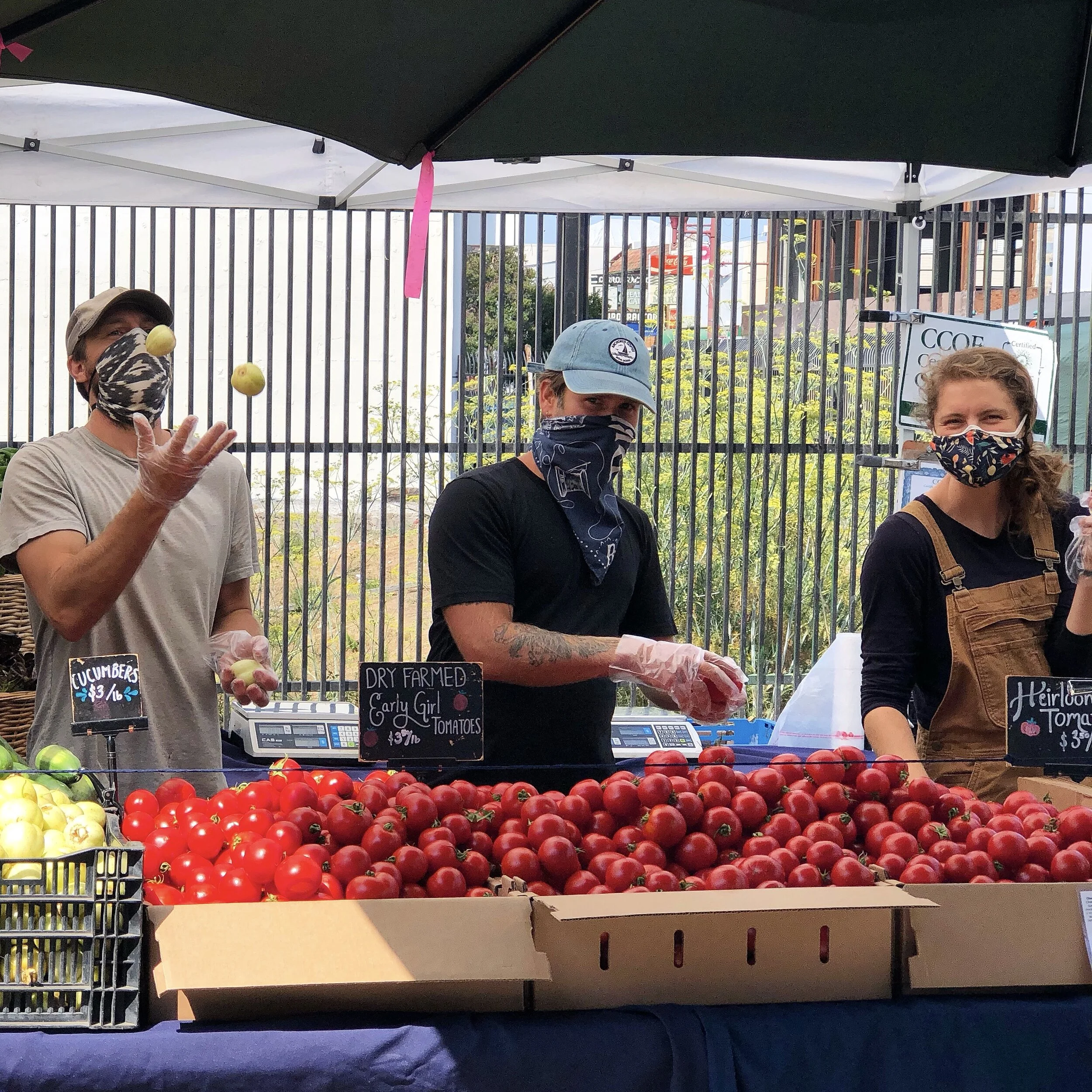 Farmers' Markets — Blue House Farm