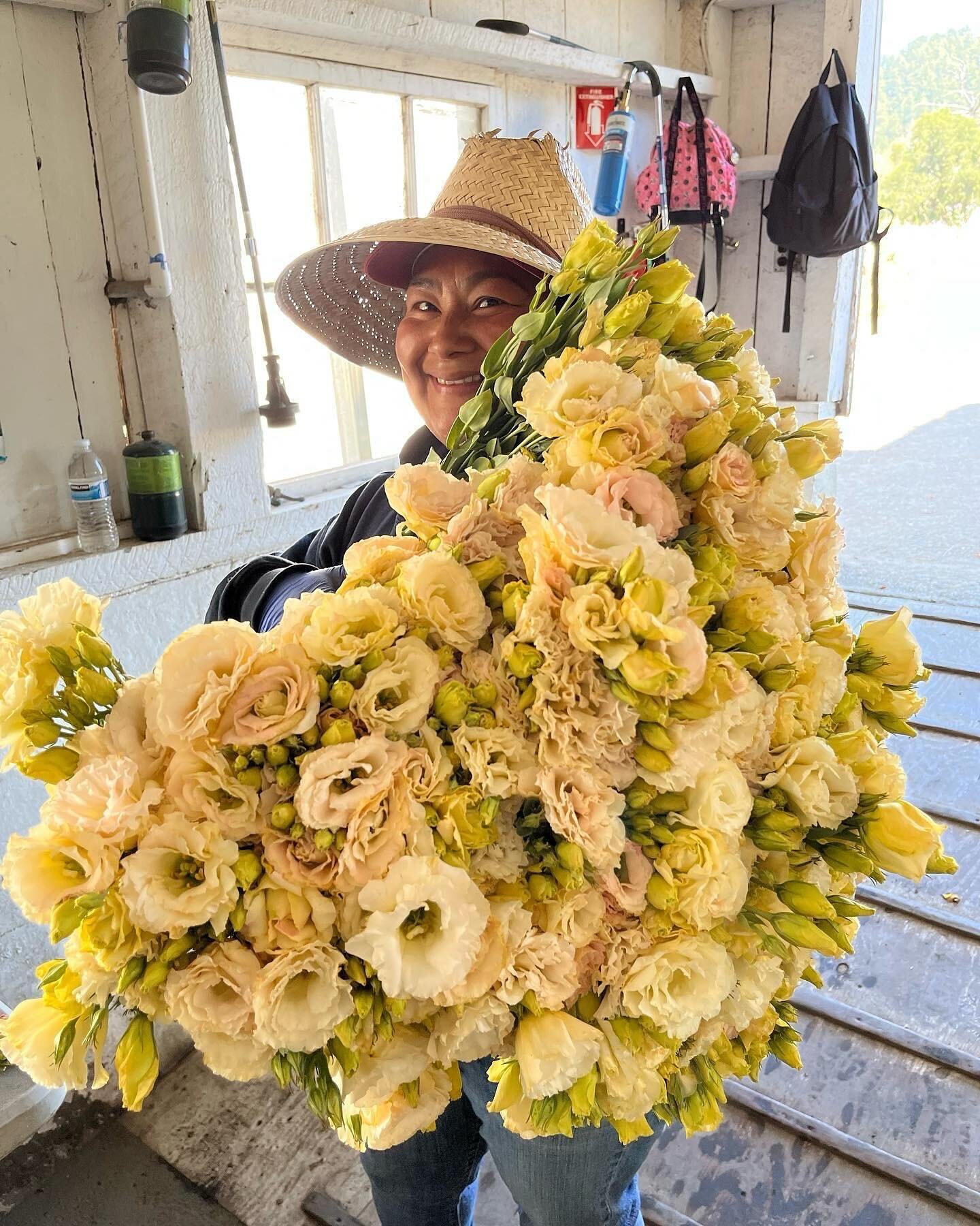 We are HIRING for the upcoming season. Looking for a flower assistant and farmers market extraordinaire 🪄 work starting in April (ish) through November (ish)- with the possibility of year round work. Part or full time- email us at flowers@bluehousef