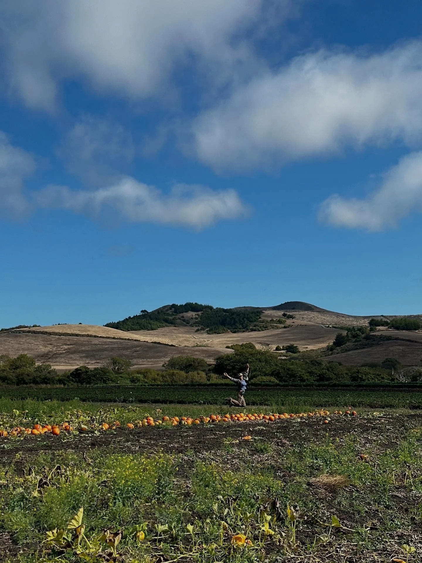 We are just starting to sense a seasonal shift here at the farm, but it&rsquo;s still all hands on deck and full speed ahead getting the bounty out of the fields. What started as a morning sorting and packing tomatoes turned into an afternoon cleanin