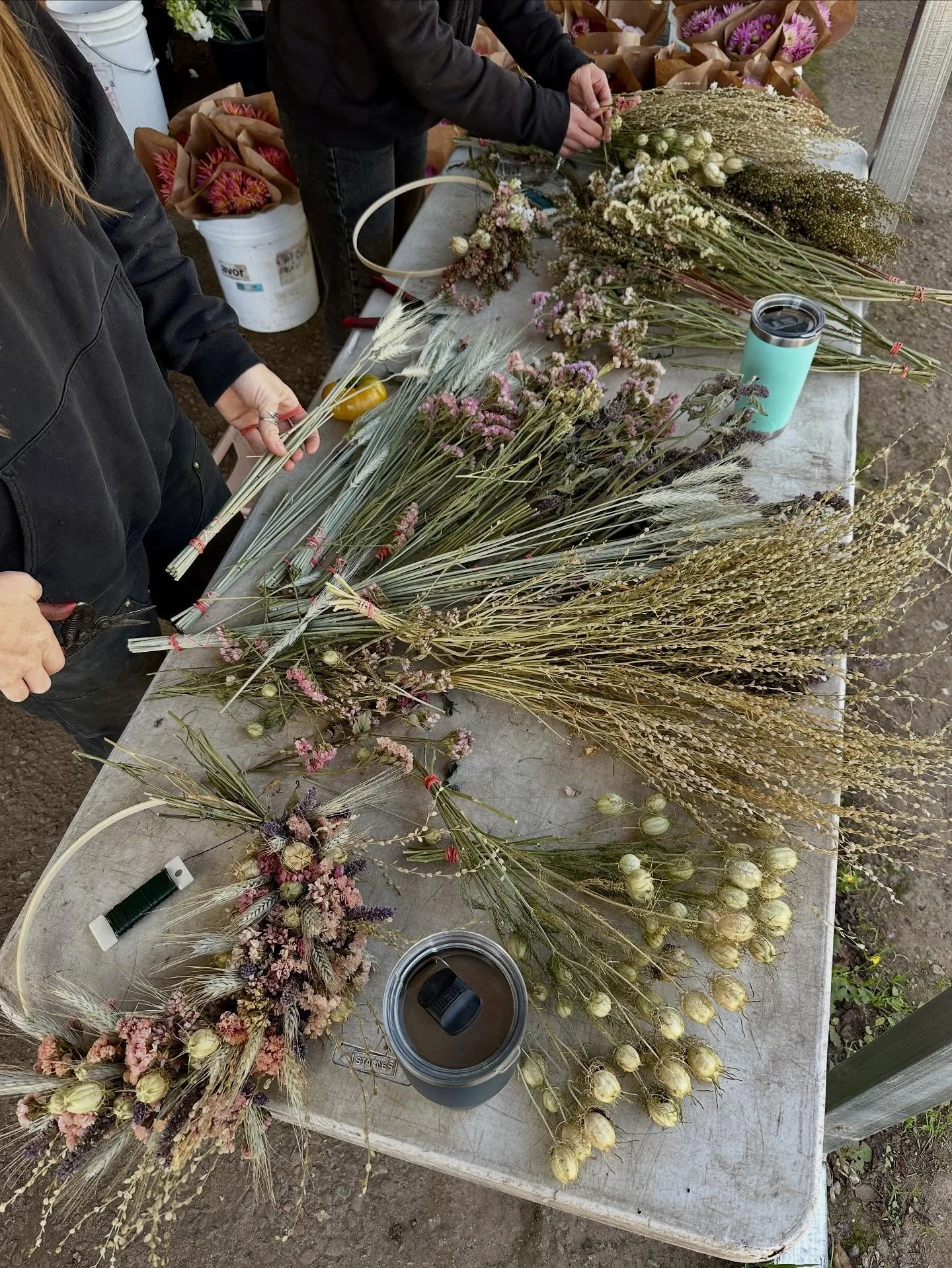 AJ and Bailey are making wreaths this morning with flowers they dried this summer! Bowie is napping in patches of sun and asking for treats, as usual. See you at all of our markets and at the Farmstand this weekend! Reminder that Farmstand hours have