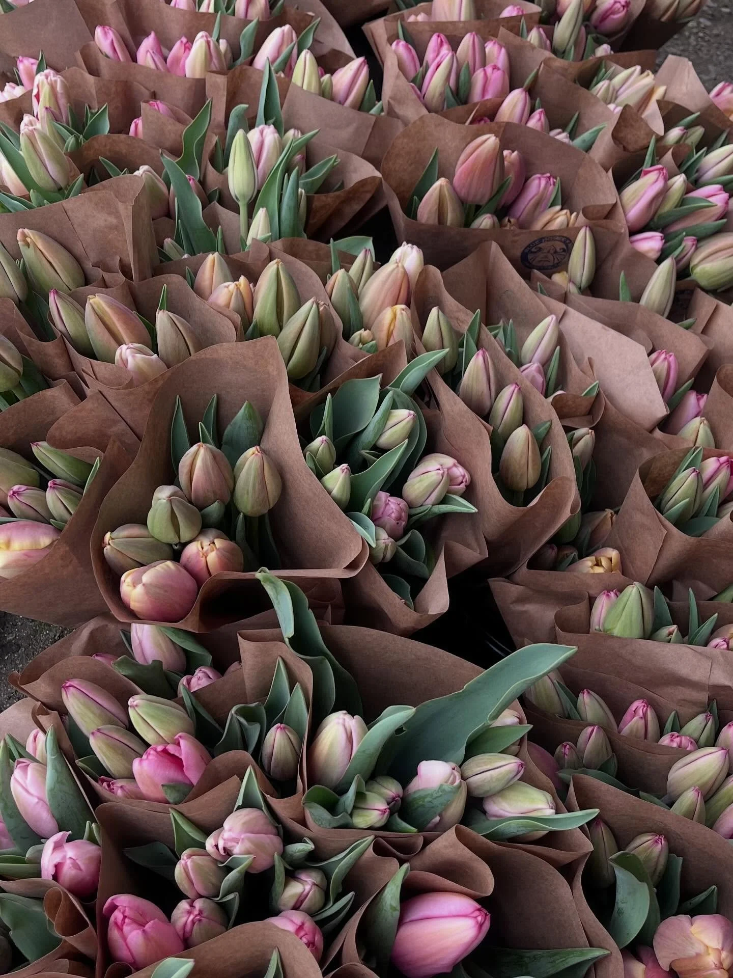 Since when do we actually have tulips in time for Valentine&rsquo;s Day? Come to our Saturday markets and the Farmstand to get some blooms (or broccoli, or beans) for yourself or someone you love ❣️🌷