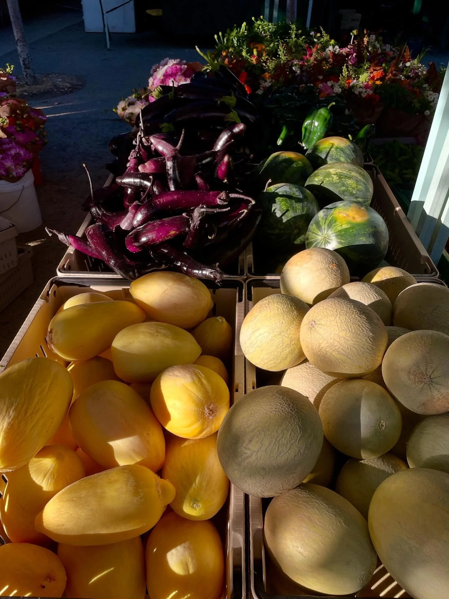 Happy heatwave! We&rsquo;ll see you at all of our regular markets this weekend. Or, consider escaping the urban heat with a visit to our Farmstand on the coast, open Saturday and Sunday noon-5pm. Strawberries are still ripe for the picking, and the b