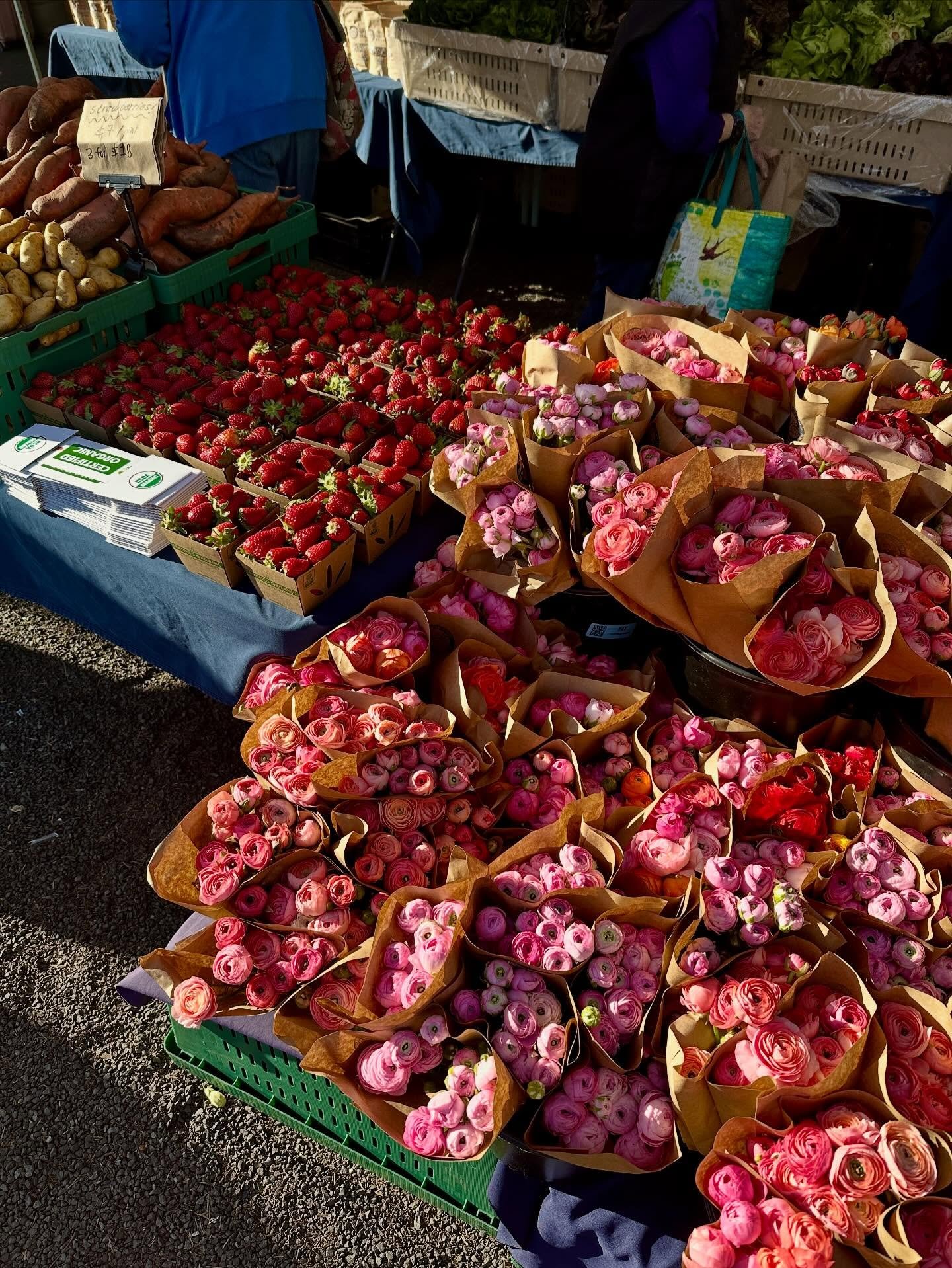 It&rsquo;s really spring! At our market booths, that means ranunculus flowers, artichokes, and maybe even strawberries if you&rsquo;re lucky. Come see us in all the usual spots this weekend! Strawberry U-pick is NOT open yet - we need more plentiful 