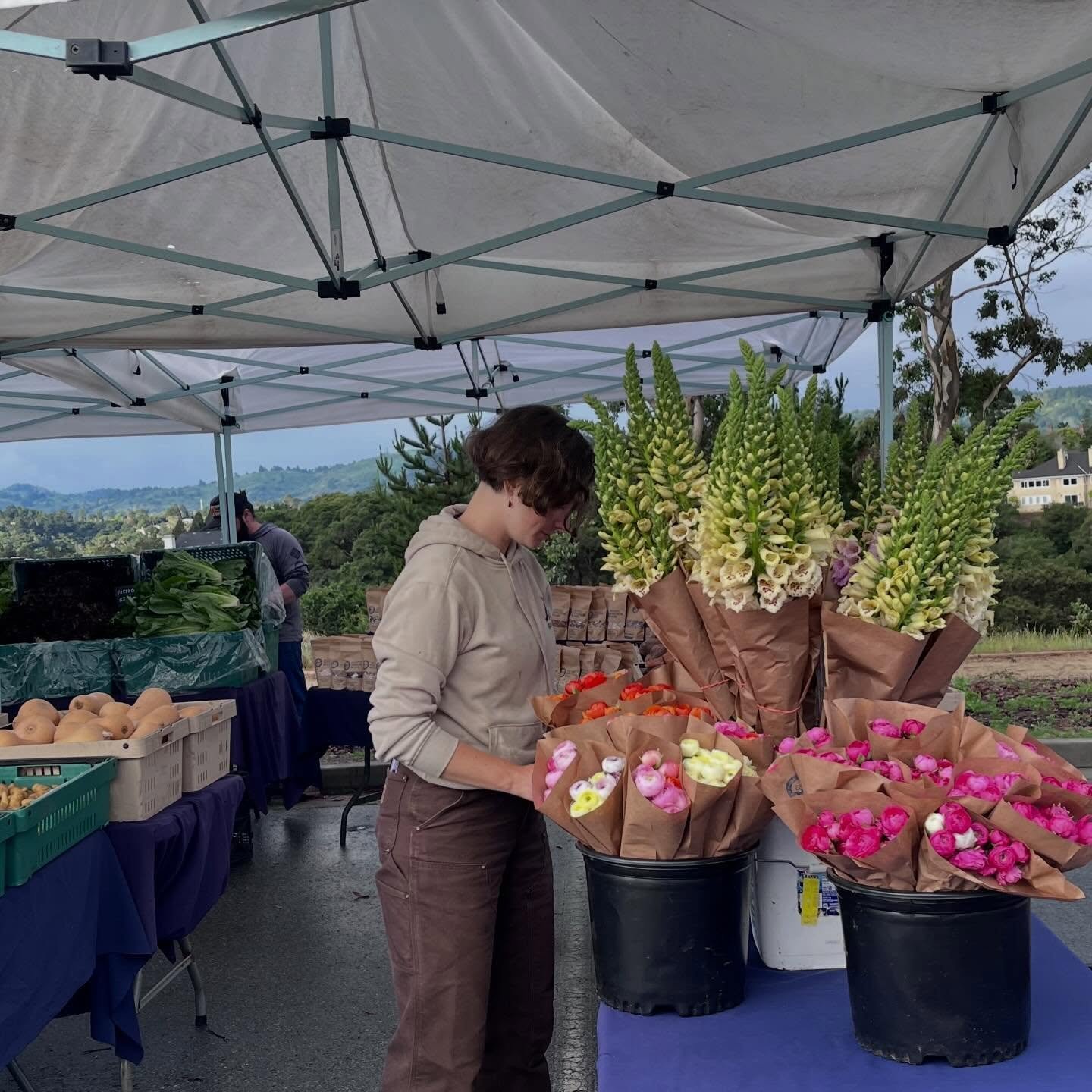 There is something special about buying food from the people who grew it 🌱

Farmers markets keep food local, seasonal, and a little more personal!

When you shop small, you support more than a farm. You support a whole local food system 💚👩🏻&zwj;?