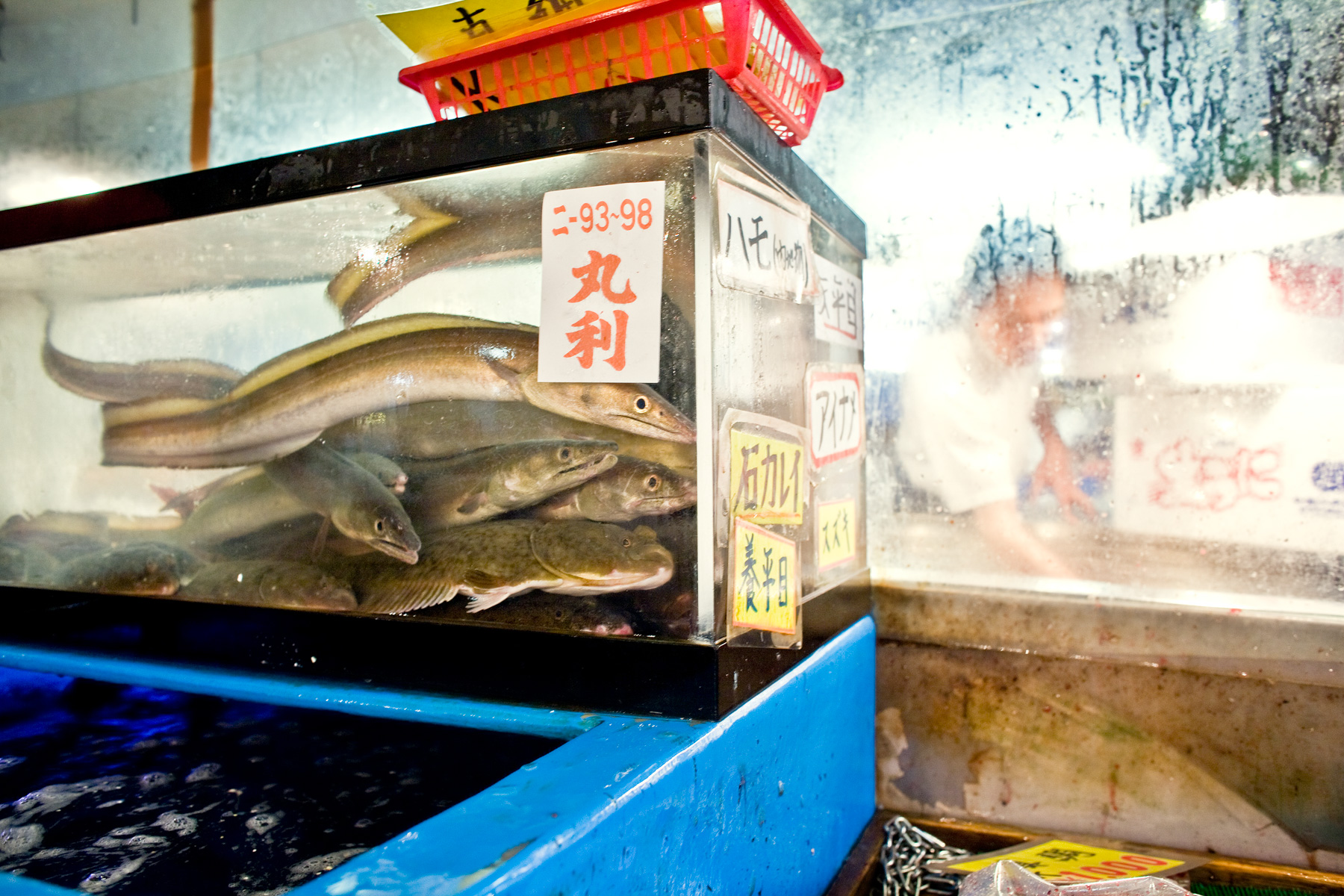 Tokyo0944 as Smart Object-1.jpg