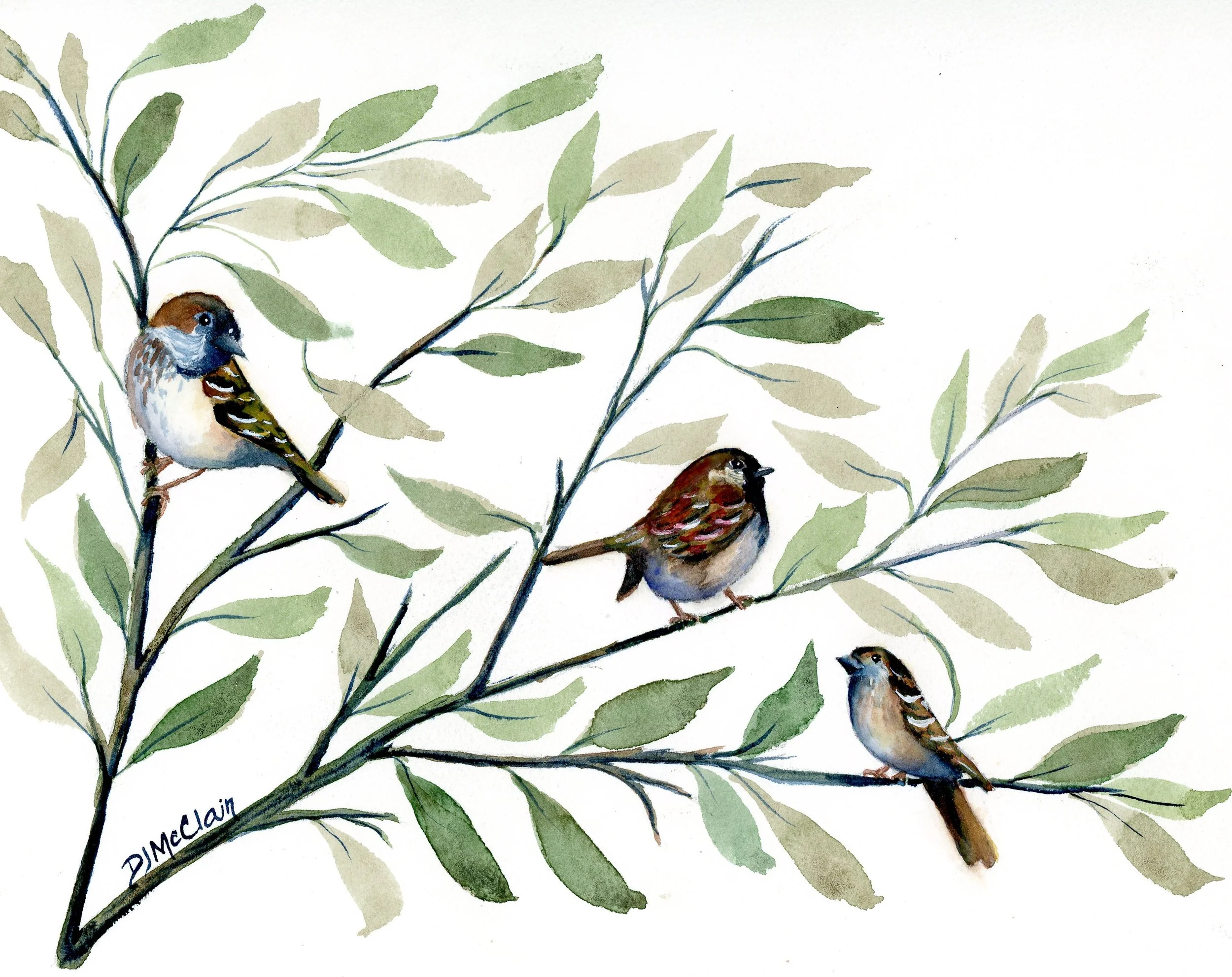 Sparrows - Observation Point 2024.jpg