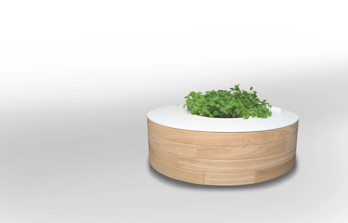 Design salontafel met plant