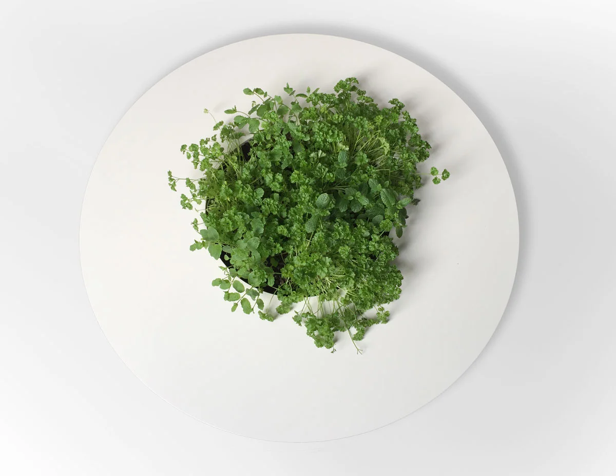 Salontafel van boven met plant.