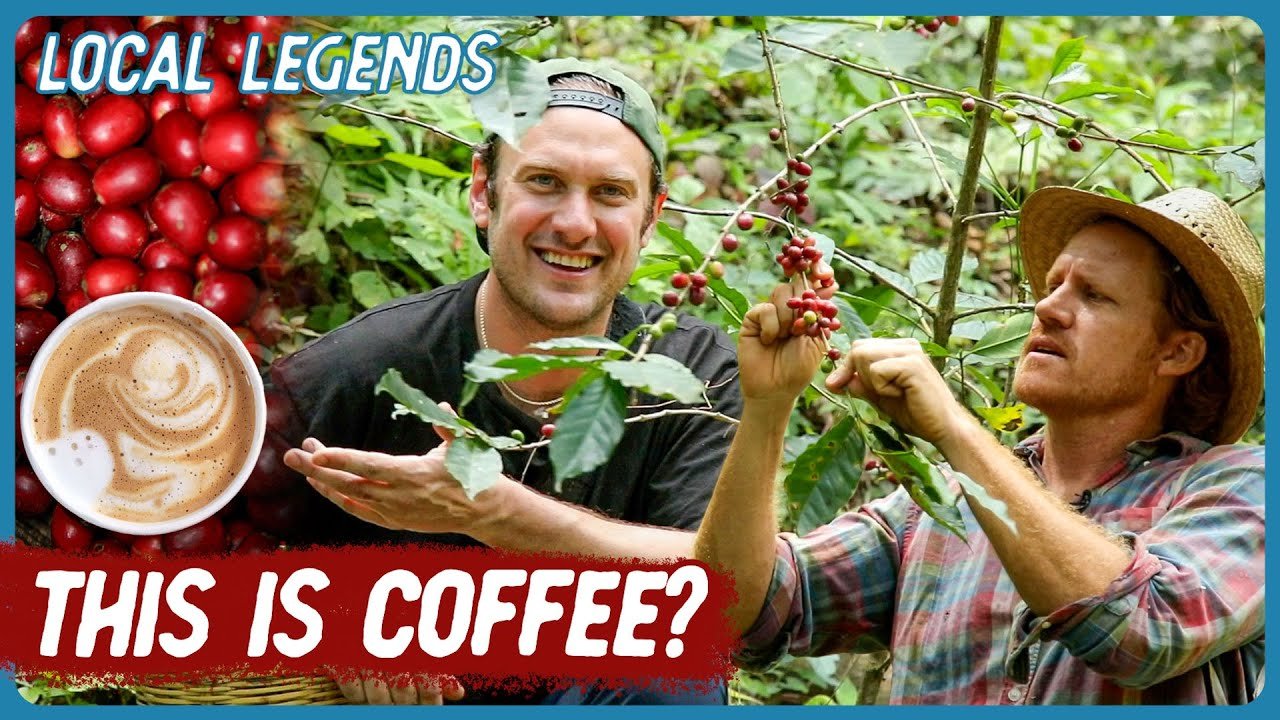 Mexican Cloud Forest Coffee | Local Legends with Brad Leone