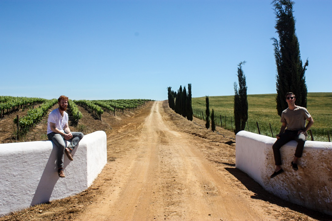 Charlie and Walker on South African Wine Farm