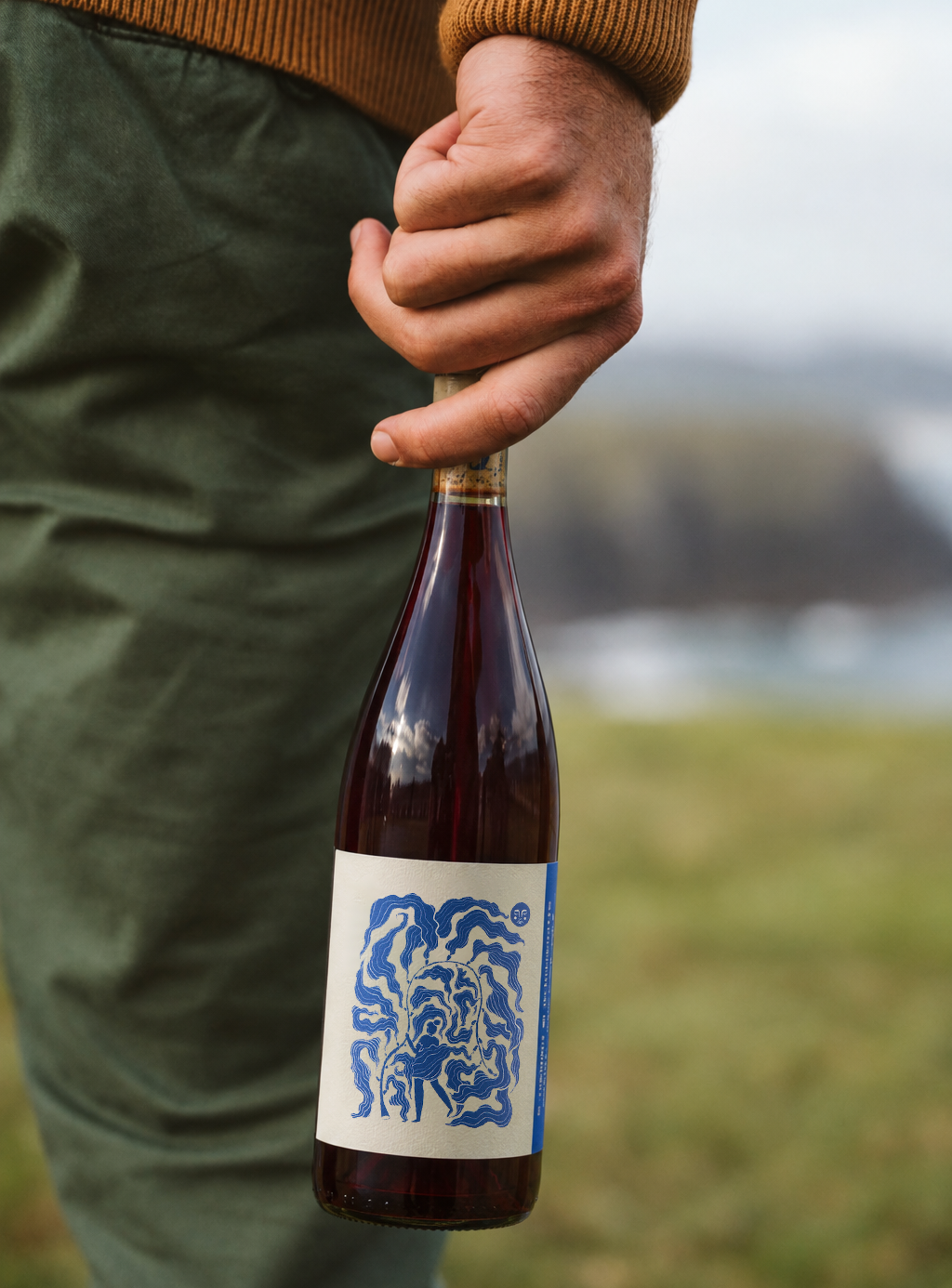 Lubanzi Wines Cabernet Franc in the Countryside.png
