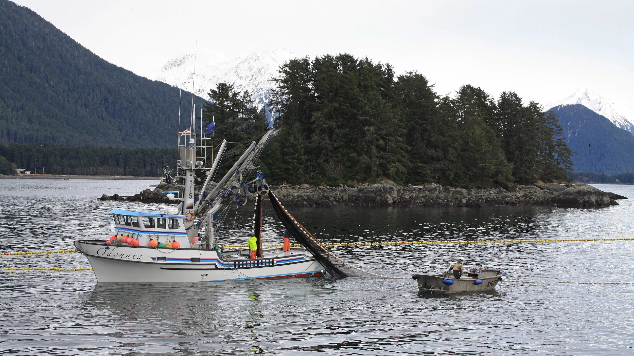 032614 014 - Copy.JPG