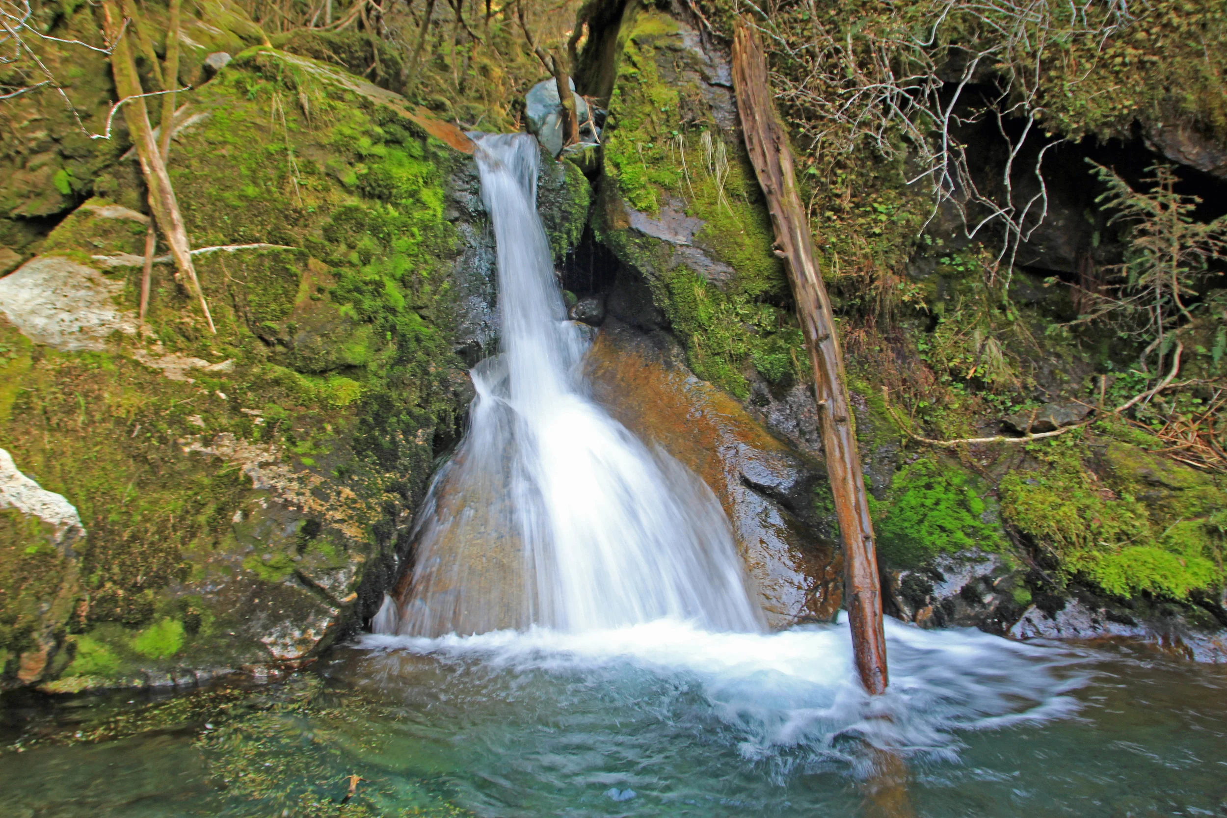 IMG_4913 - Copy - Copy - Copy.JPG