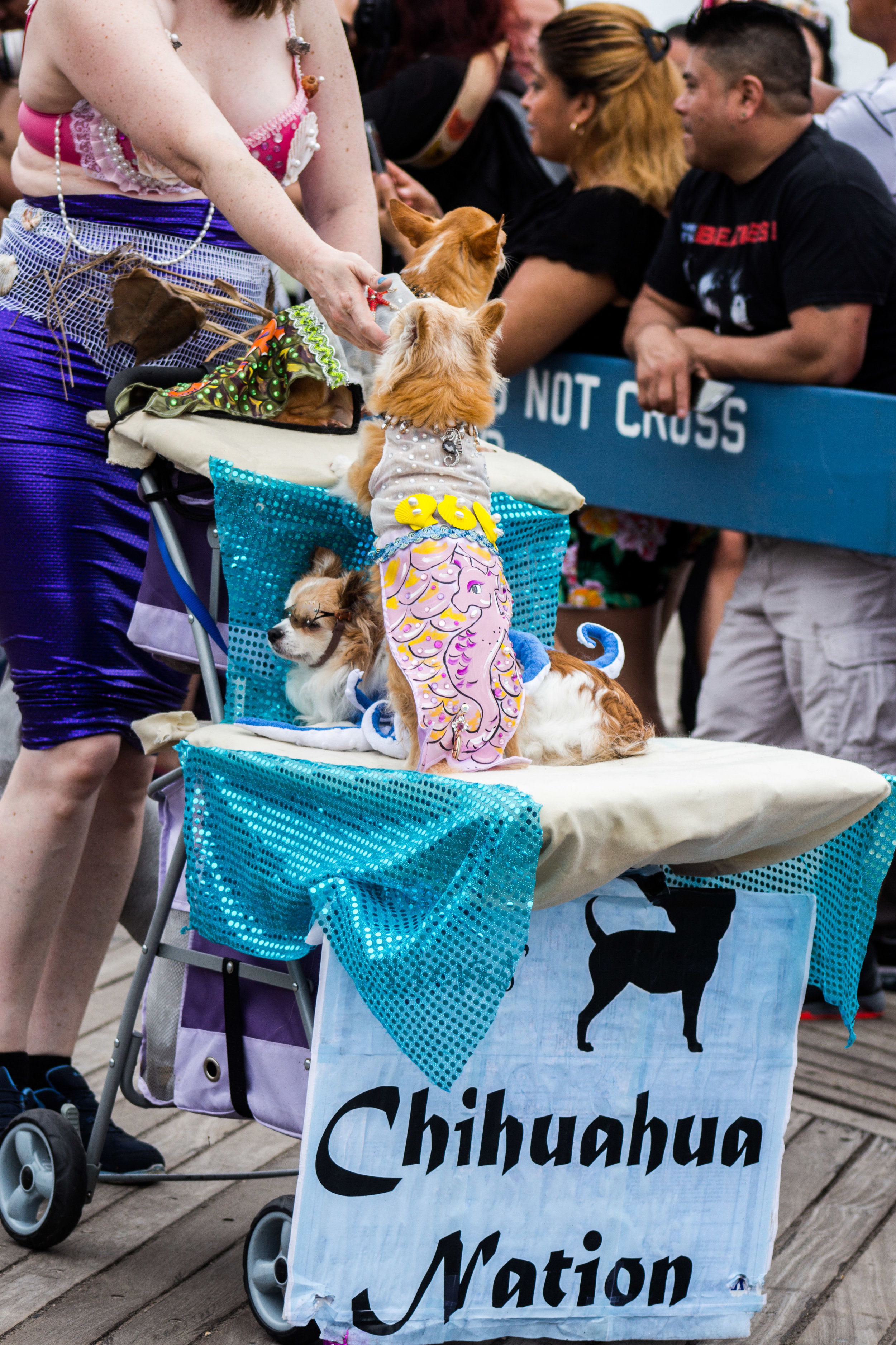 MermaidParade-113.jpg