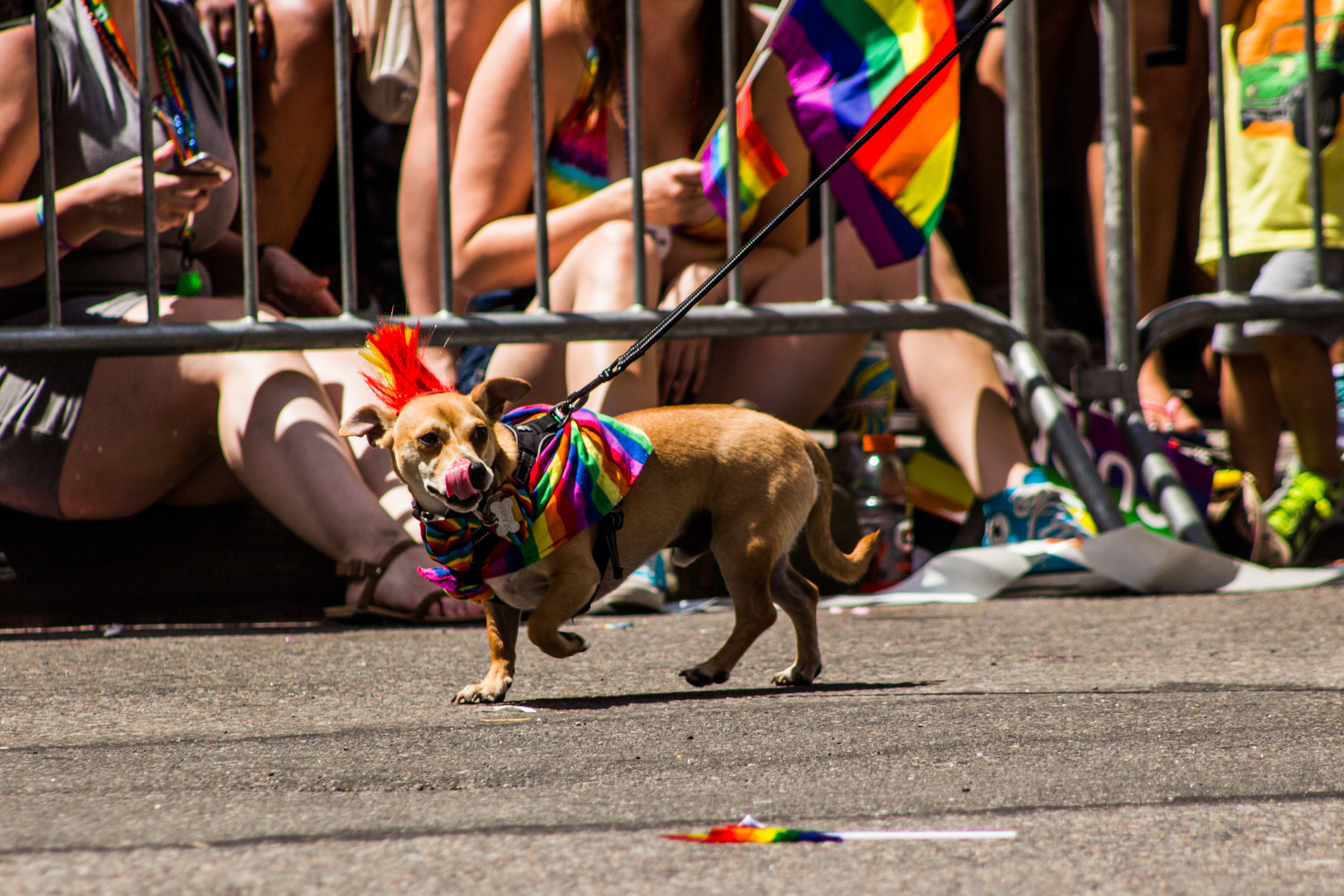 Pride-138.jpg