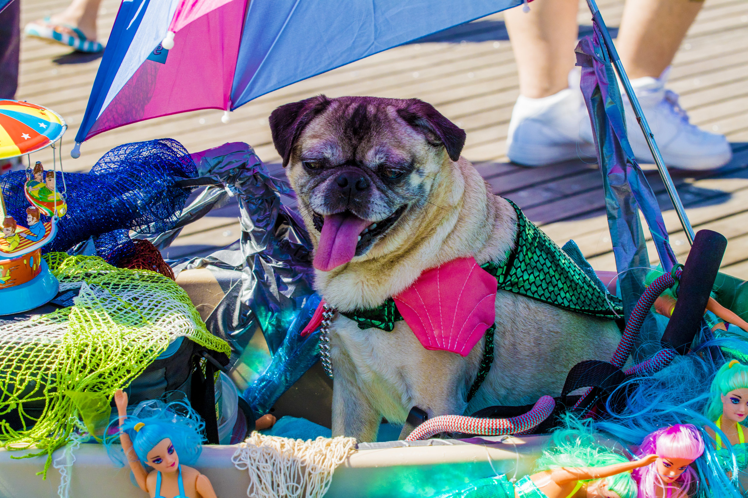 MermaidParade2018-154.jpg