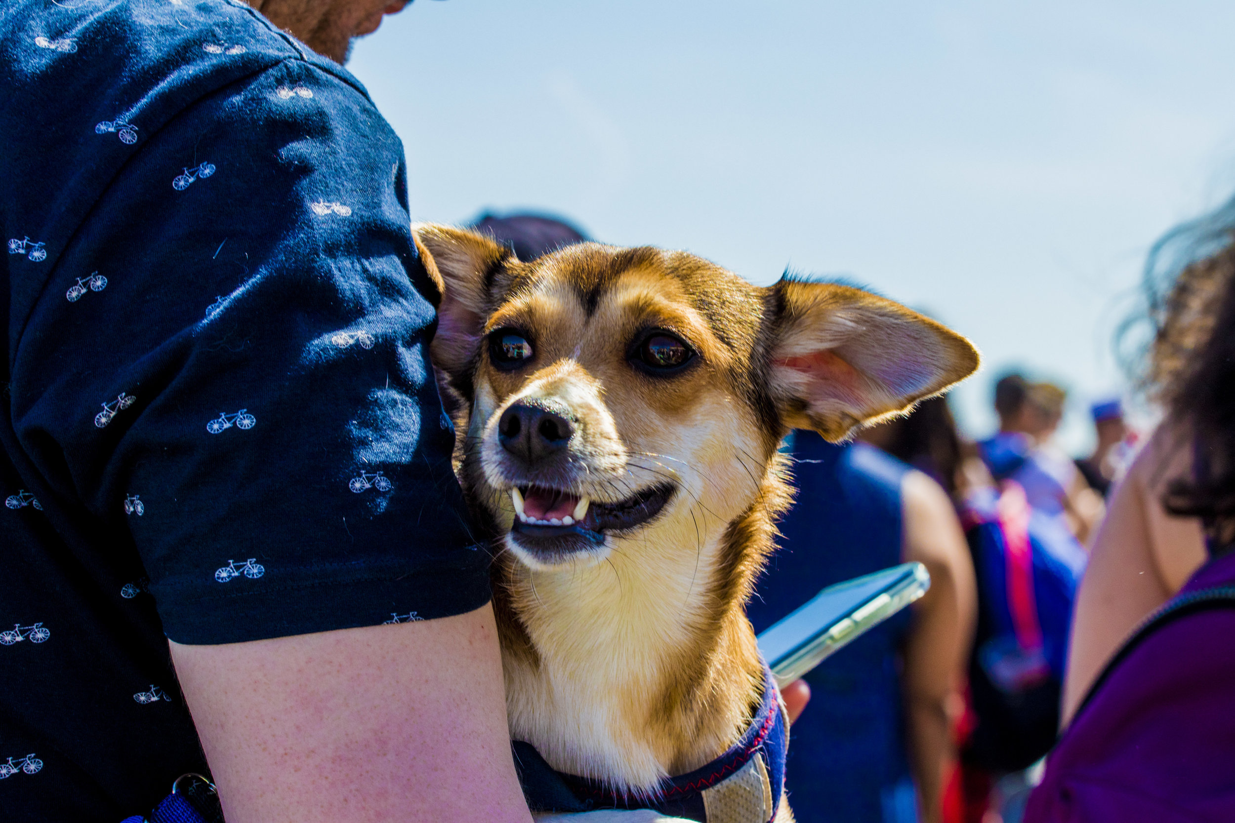 MermaidParade2018-153.jpg