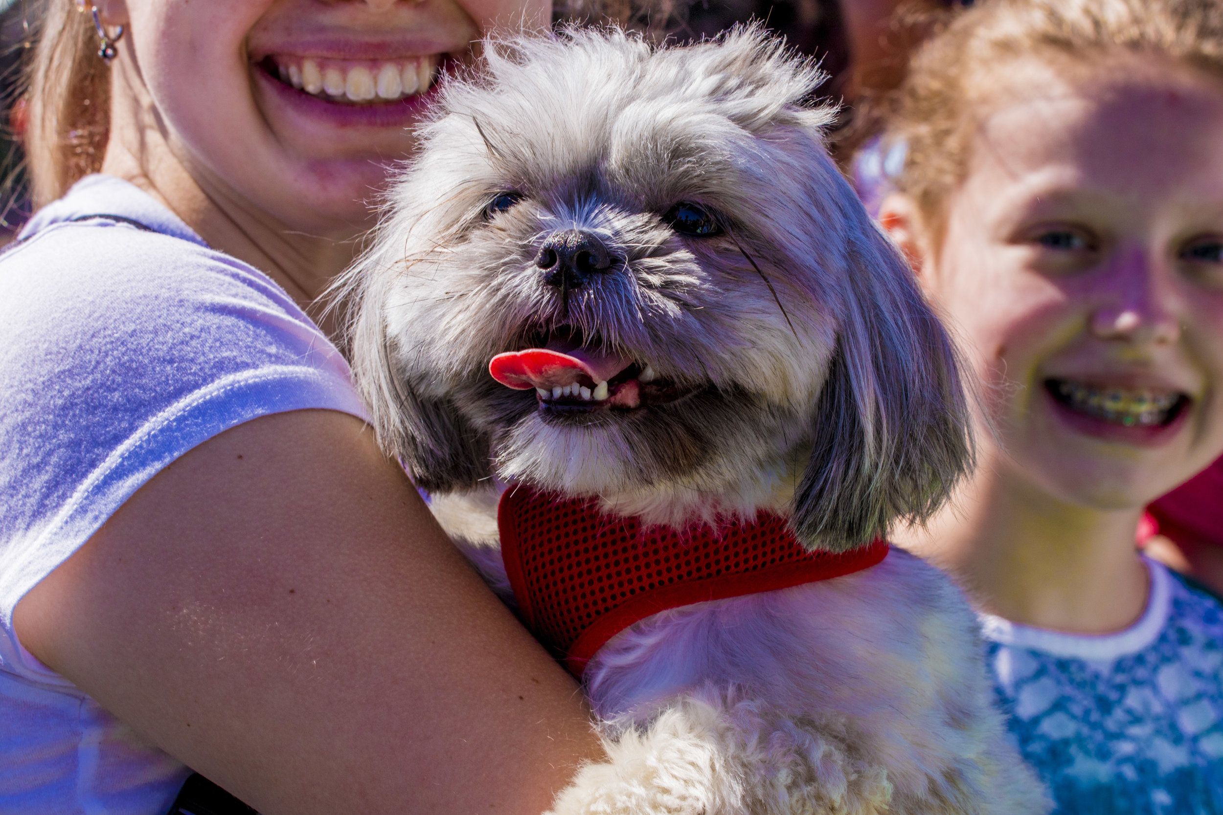 MermaidParade2018-152.jpg