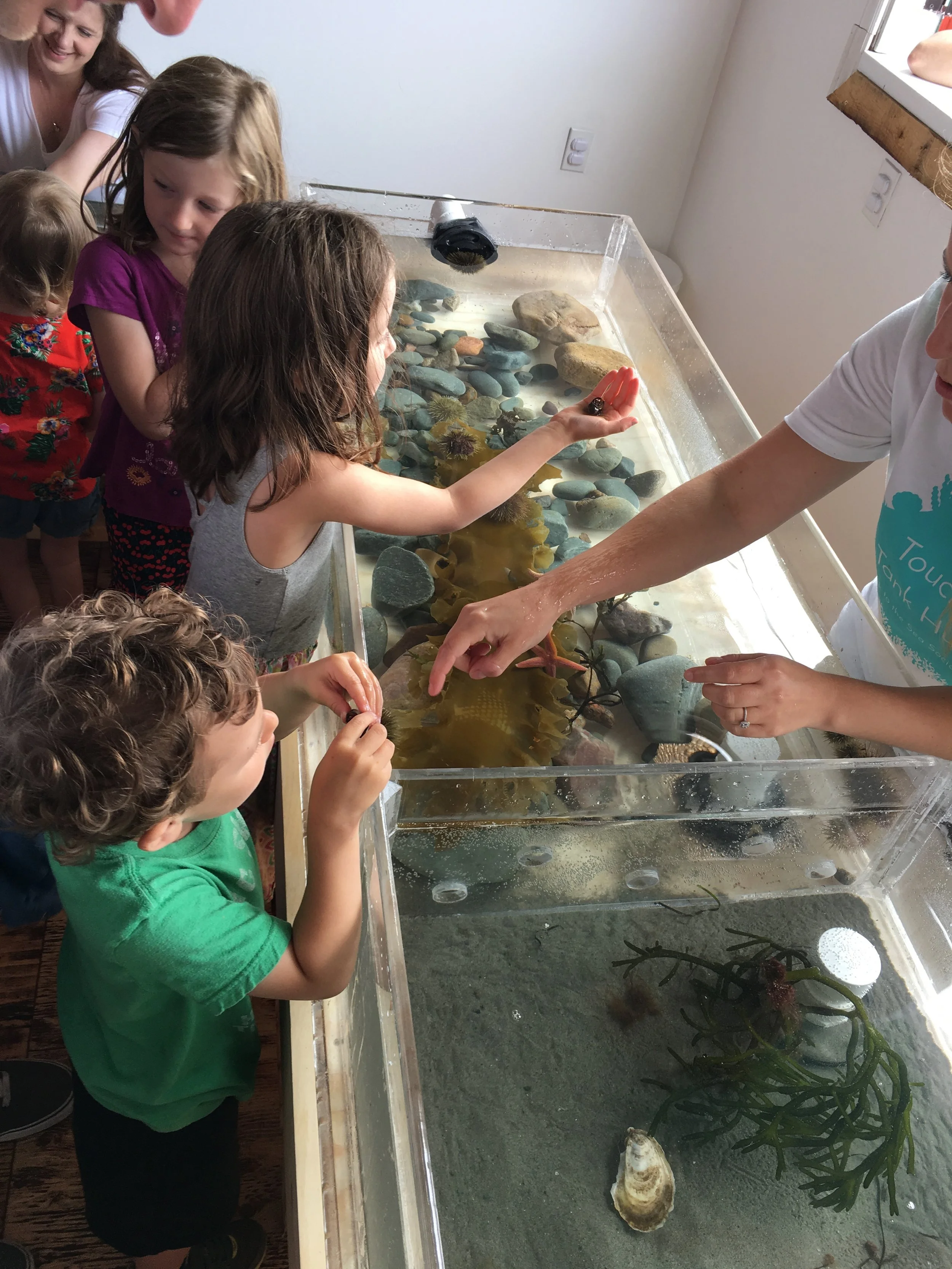 Delay Pre-primary Expansion