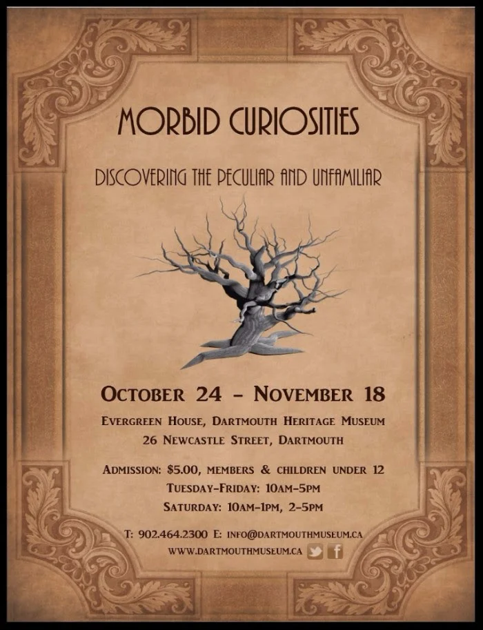 MorbidCuriosities.jpg