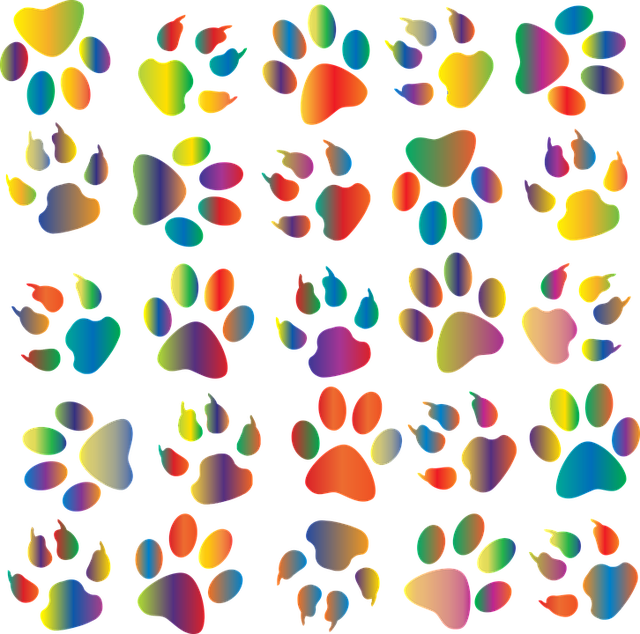 colorful-1353143_640.png