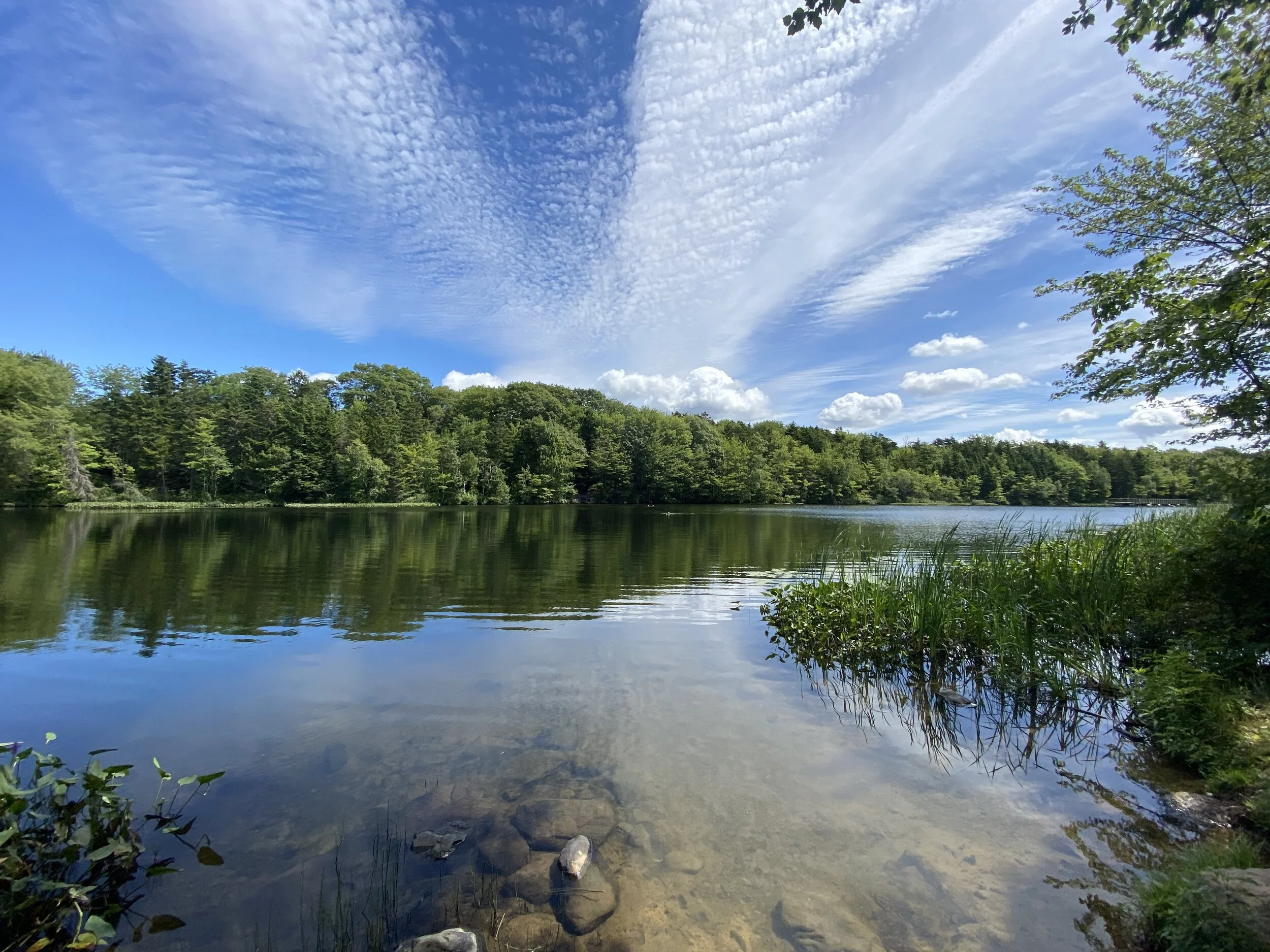 Phase 5 and a meeting with the Minister on Dartmouth lakes