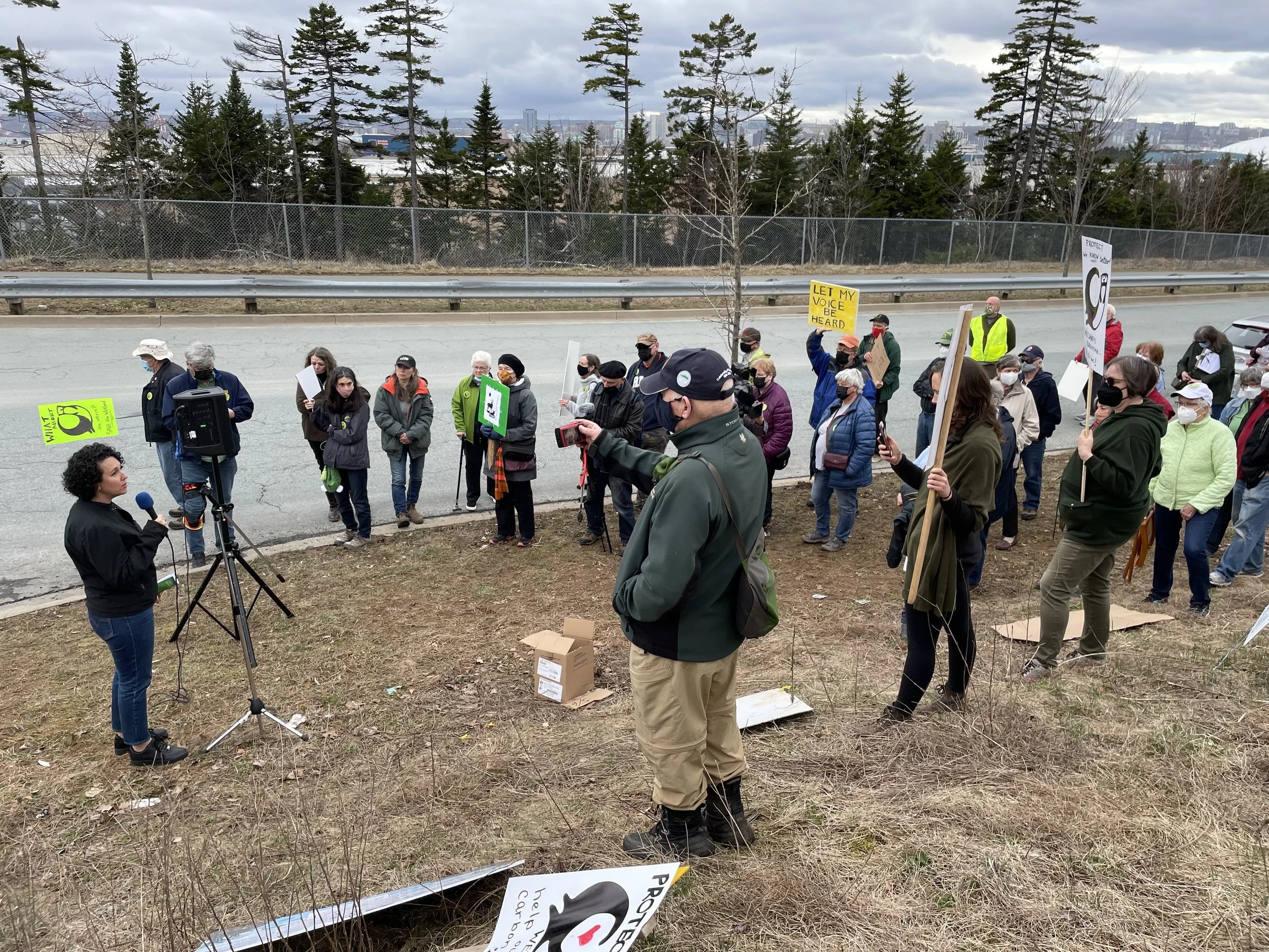 Back to school plans, Eisner Cove Wetland, and reporting