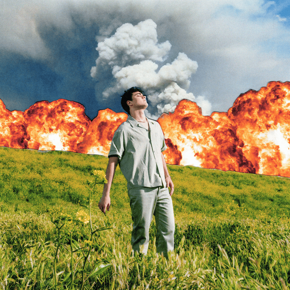 ALEXANDER STEWART - BLEEDING HEART