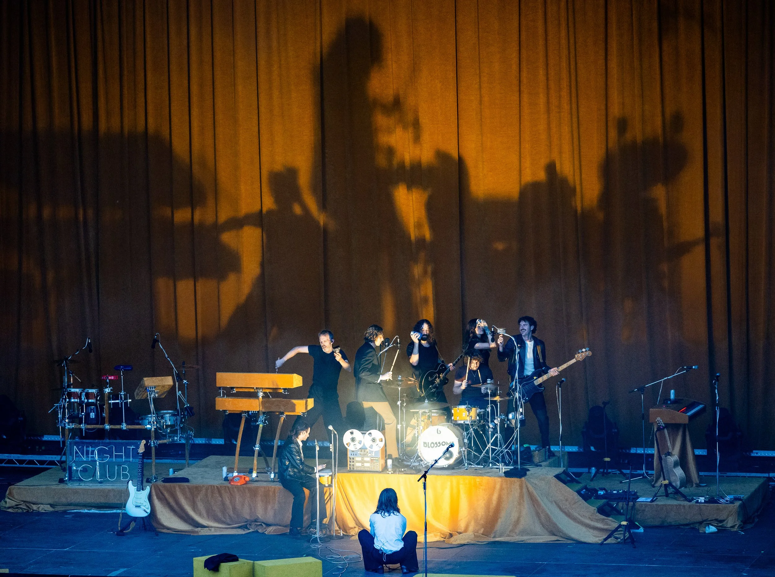 Blossoms-27.JPG
