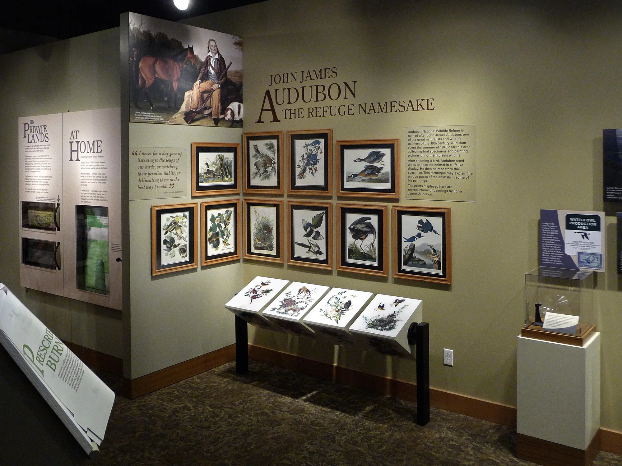 audubon9.jpg