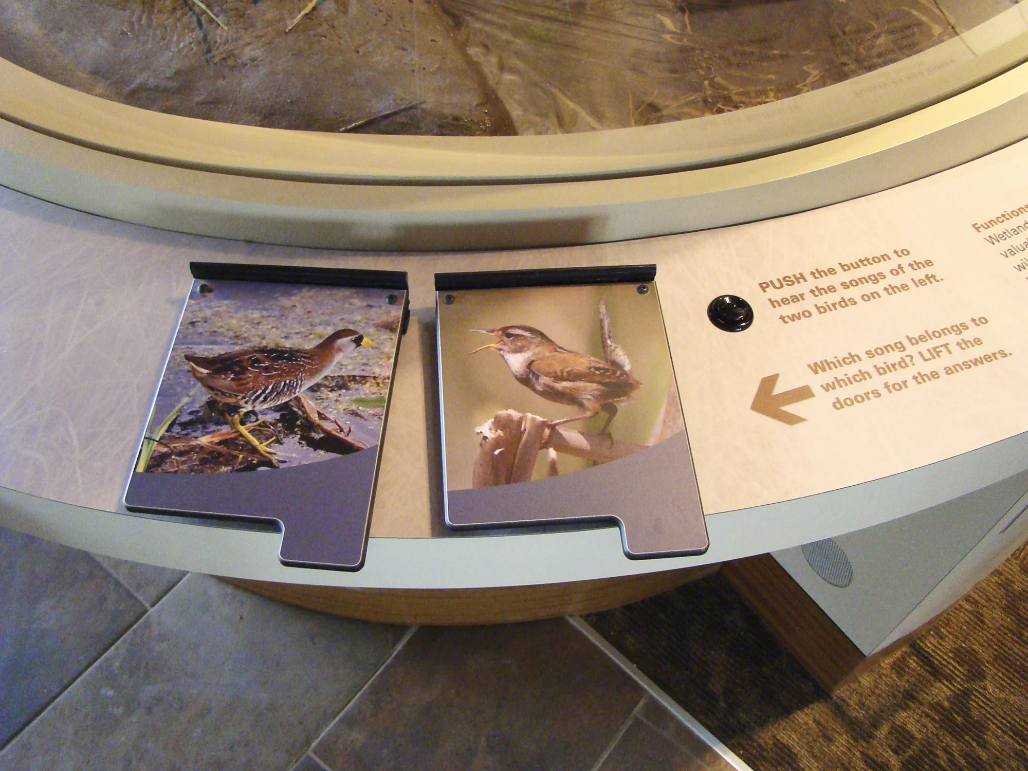 audubon6.jpg