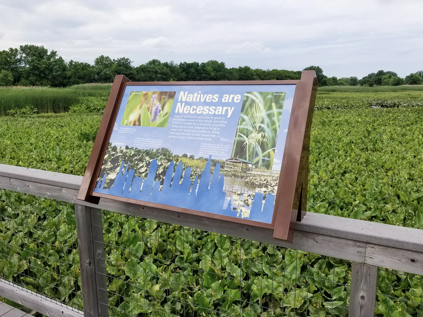 The visitor center exhibits were created in conjunction with a series of graphic panels mounted along the refuge trails and boardwalks.