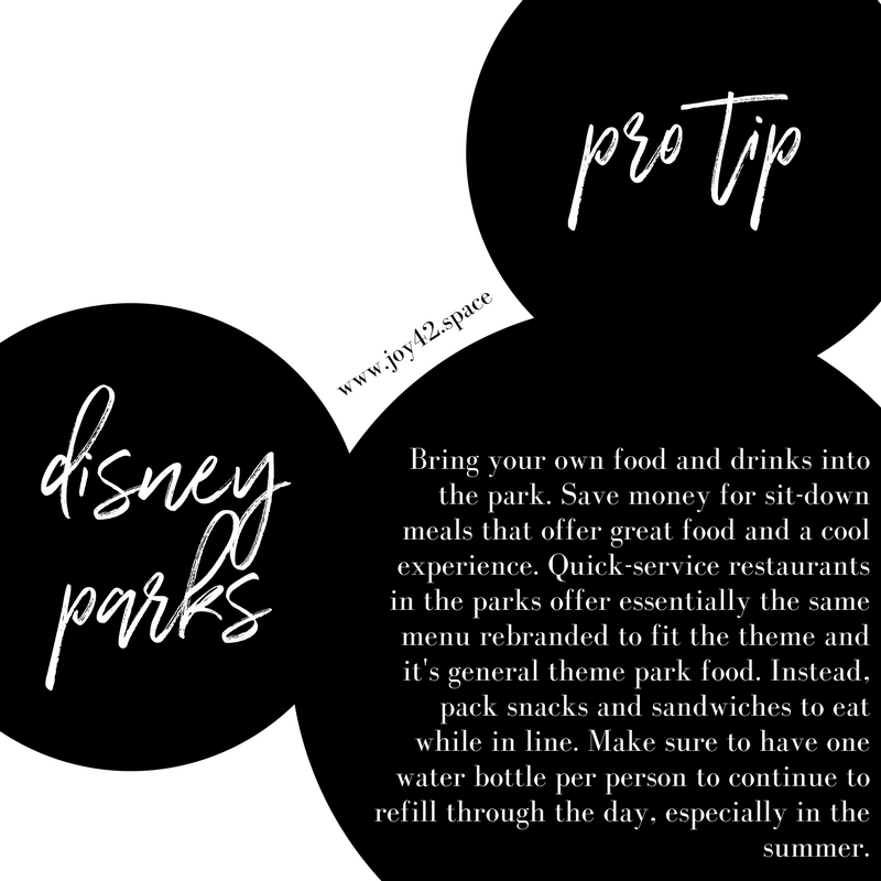 Disney Tips 3.png