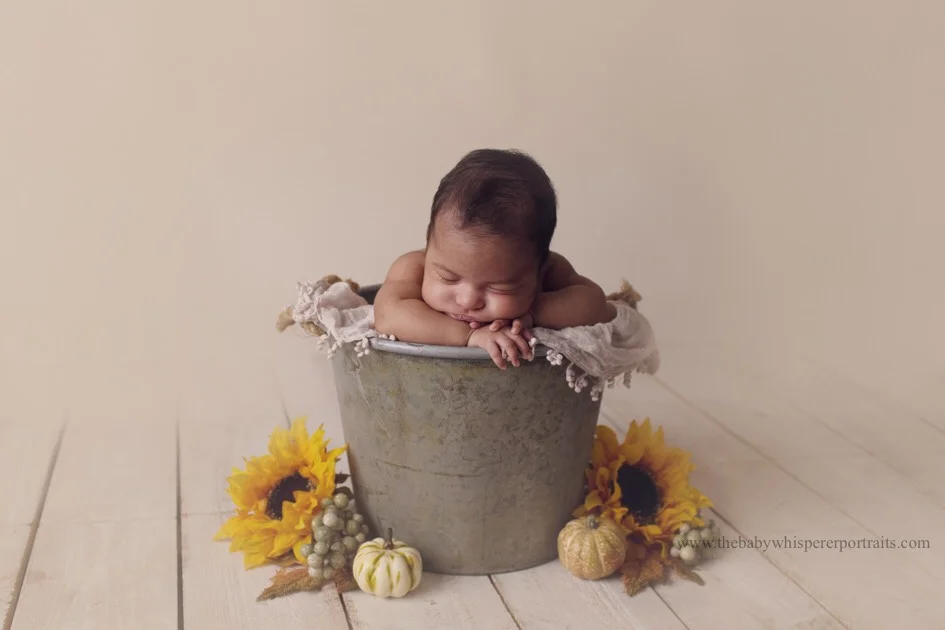 phoenix newborn photographer (1 of 58).jpg