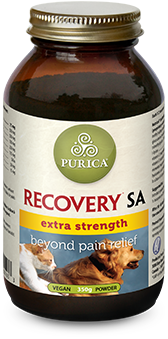 Recovery-SA-Extra.png