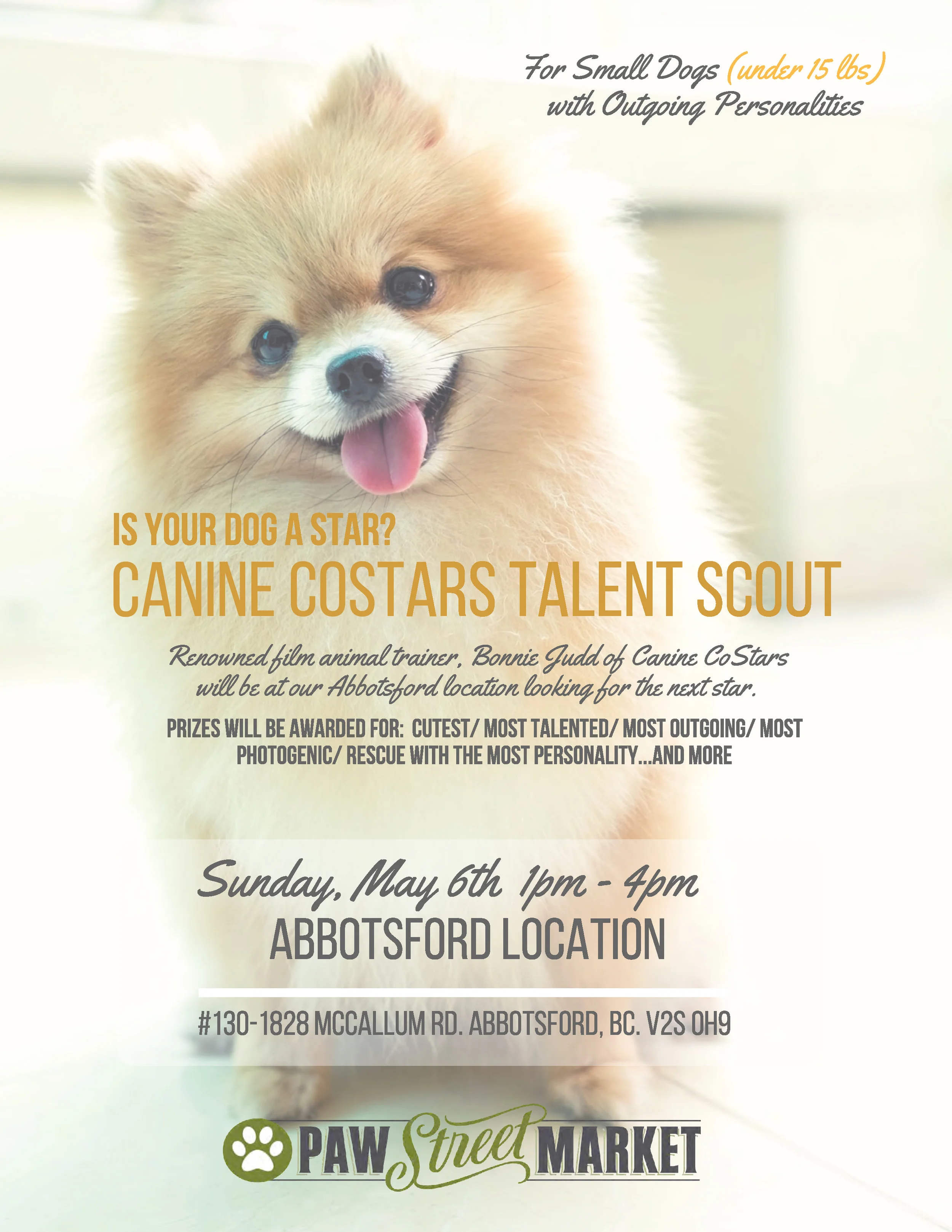 Canine CoStars Poster s.jpg