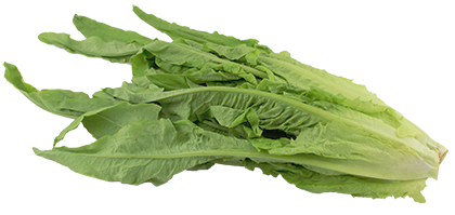 A Choy.jpg