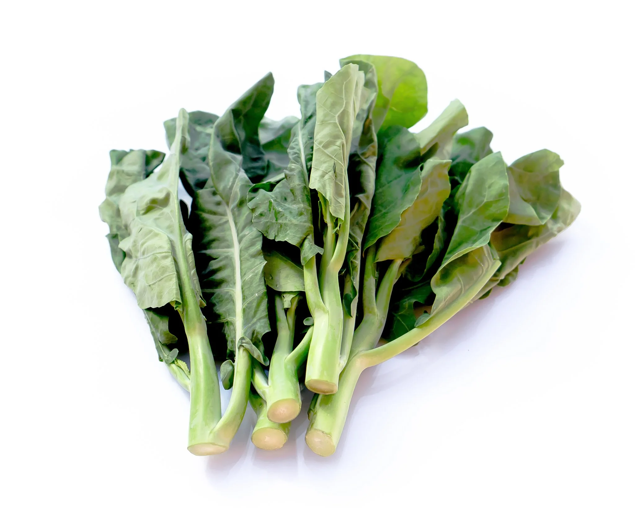 Gai Lan.jpg