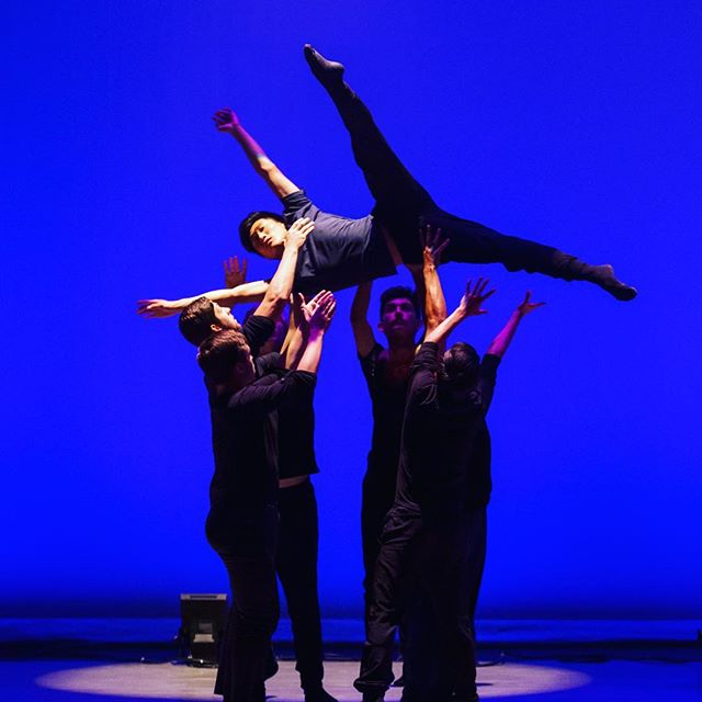 DANCERS Ages 15-Professional 🖤 Who’s auditioning for our Houston Project, Wanderlust Year IV? June 16💎 Follow here and check our website for upcoming details! #dance #danceaudition #dancer #dancelife @tmitchell227 📸 Sharen Bradford