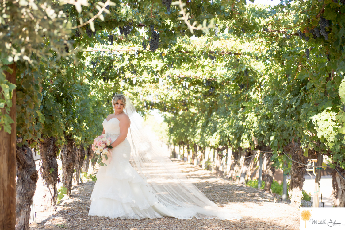 017wilsoncreekwineryweddingpictures.jpg