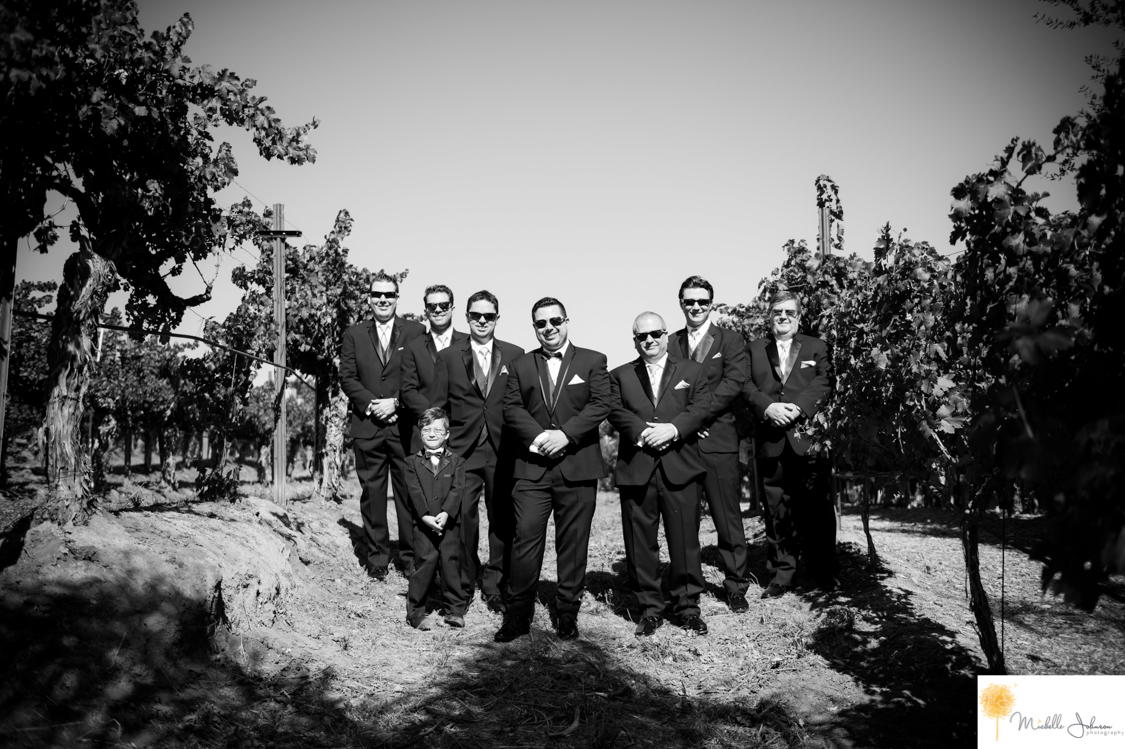 030wilsoncreekwineryweddingpictures.jpg