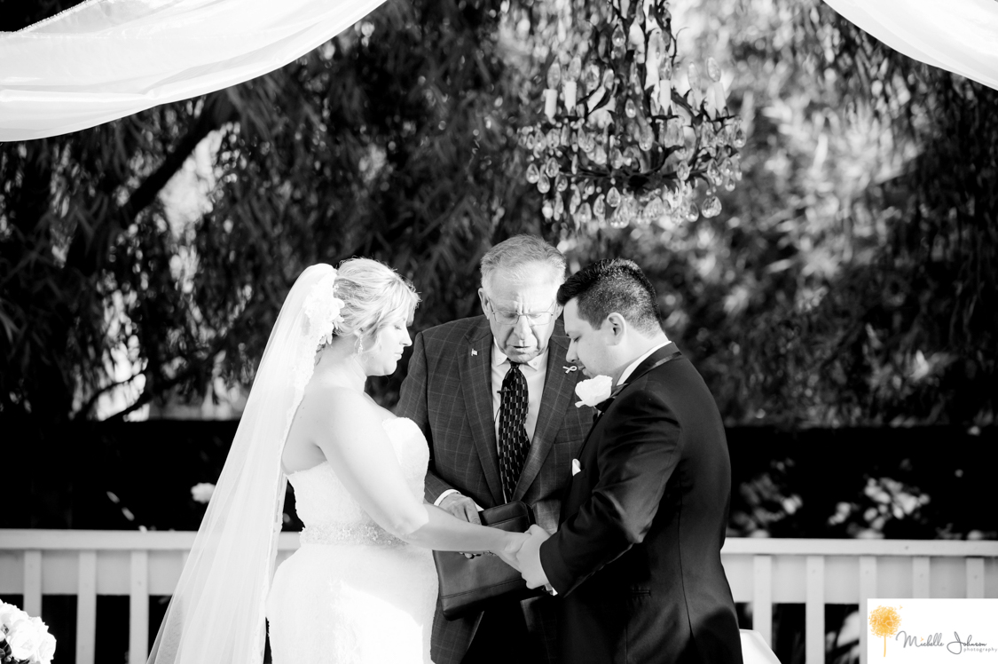 036wilsoncreekwineryweddingpictures.jpg