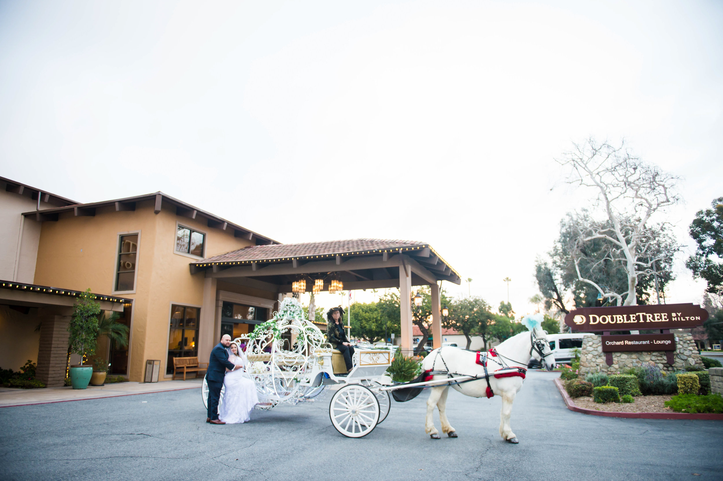 0010stdenisweddingpicturesdoubletreeclaremontreception.jpg