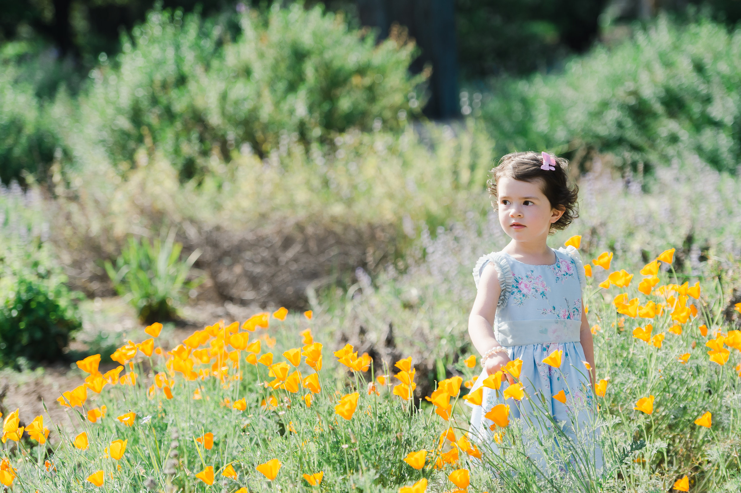 Rancho Santa Ana Botanic Garden Photographer Tilly Turns 3