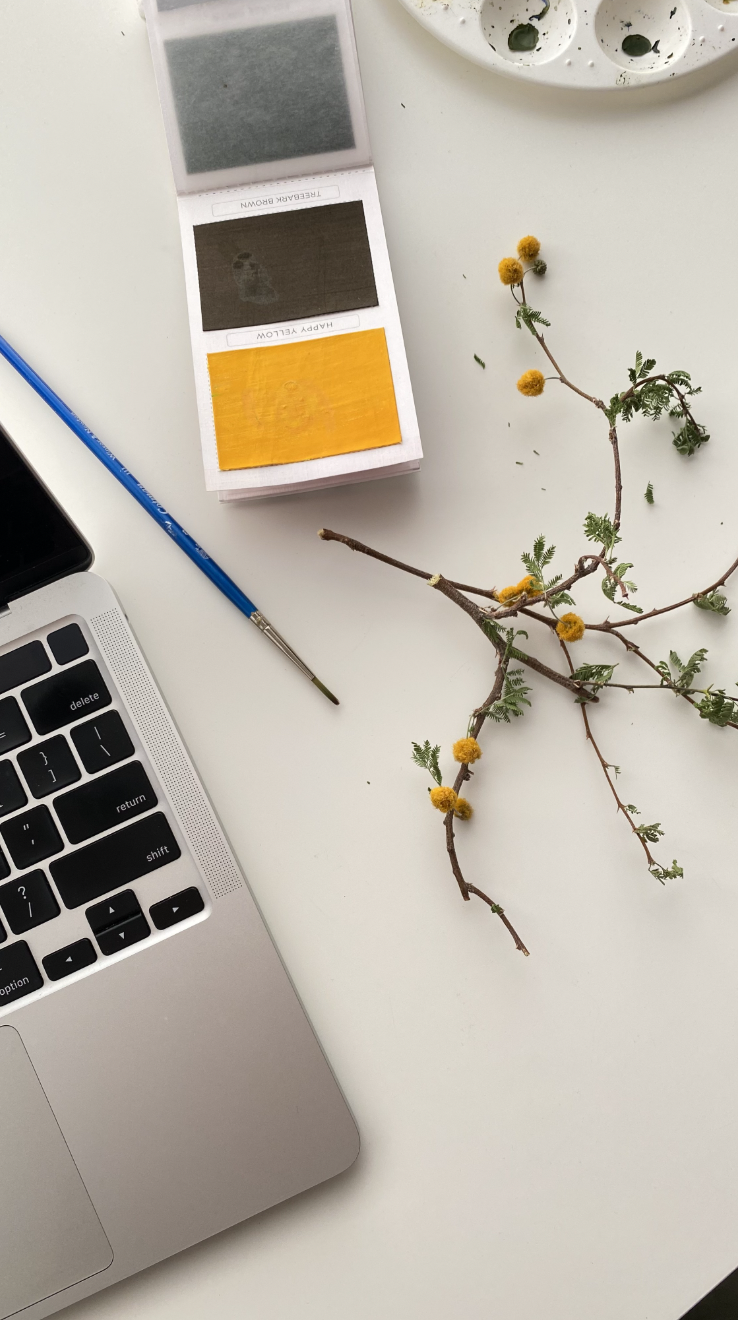 Viviva Colors and Laptop