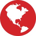 Global icon