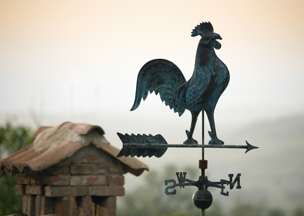 DB_Weathervane.jpg