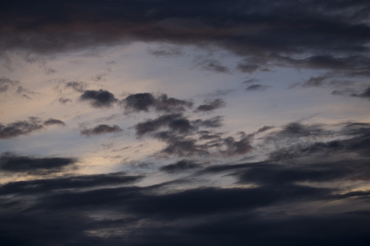 DB_20140730_0054.jpg