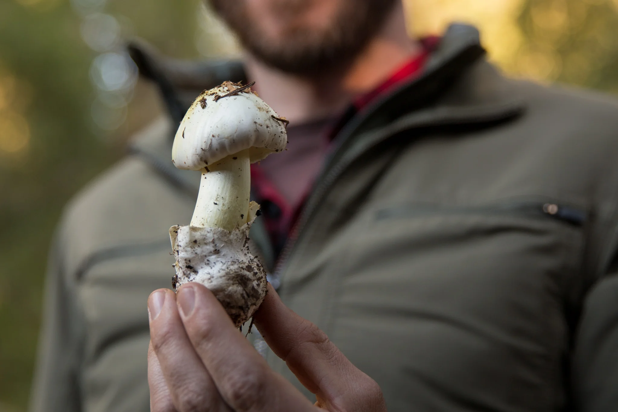 Met a couple that were digging up this poisonous mushroom to use for their scientific studies